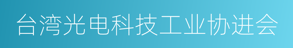 台湾光电科技工业协进会的同义词