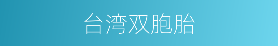 台湾双胞胎的同义词