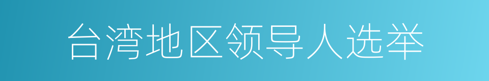 台湾地区领导人选举的同义词