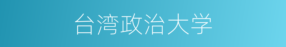 台湾政治大学的同义词