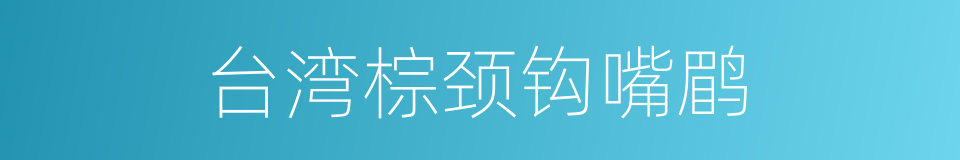 台湾棕颈钩嘴鹛的同义词