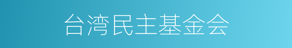 台湾民主基金会的同义词