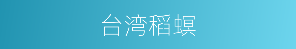 台湾稻螟的同义词