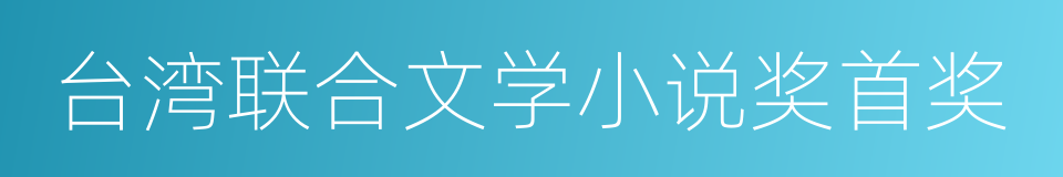 台湾联合文学小说奖首奖的同义词