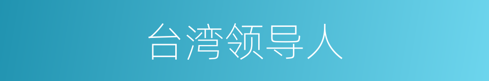 台湾领导人的同义词