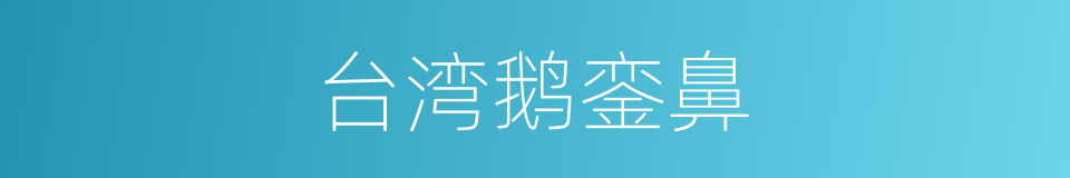 台湾鹅銮鼻的同义词