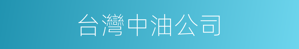 台灣中油公司的同義詞