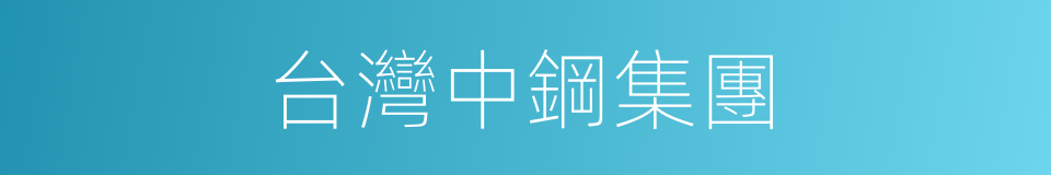 台灣中鋼集團的同義詞