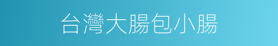 台灣大腸包小腸的同義詞