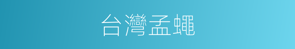台灣孟蠅的同義詞
