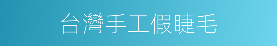 台灣手工假睫毛的同義詞