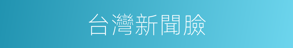 台灣新聞臉的同義詞