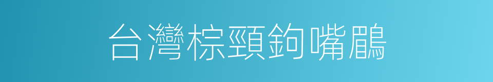 台灣棕頸鉤嘴鶥的同義詞