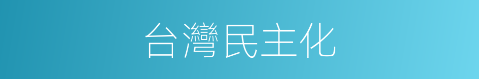 台灣民主化的同義詞