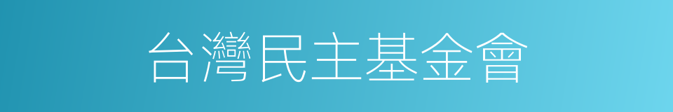 台灣民主基金會的同義詞