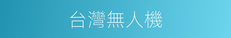 台灣無人機的同義詞