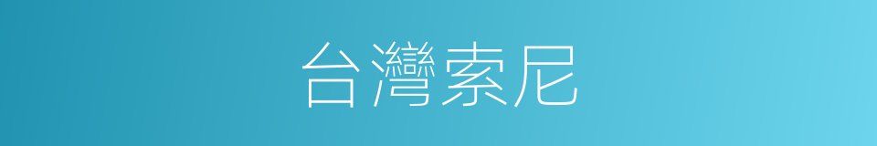 台灣索尼的同義詞