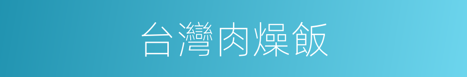 台灣肉燥飯的同義詞