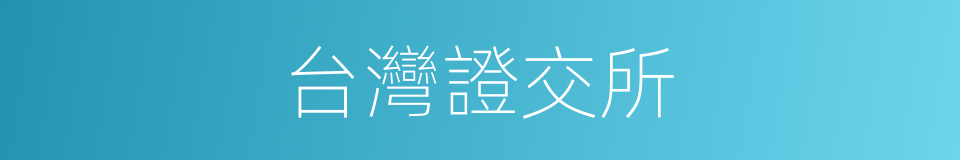 台灣證交所的同義詞