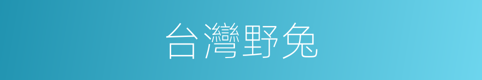 台灣野兔的同義詞