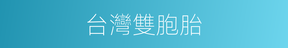 台灣雙胞胎的同義詞