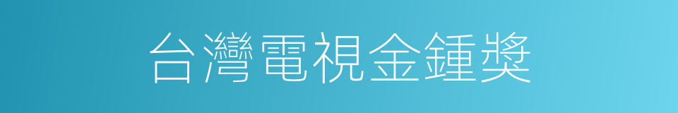 台灣電視金鍾獎的同義詞