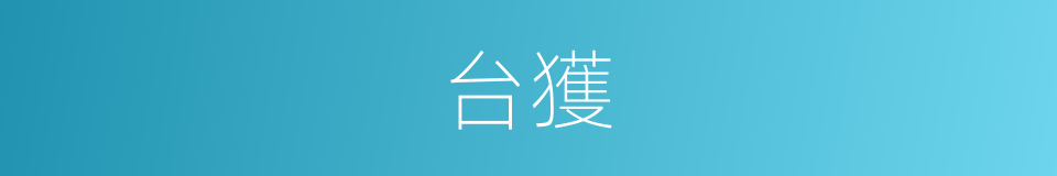 台獲的同義詞