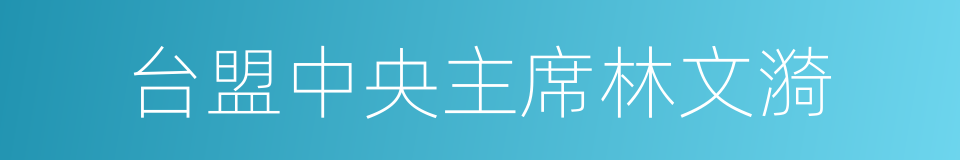 台盟中央主席林文漪的同义词