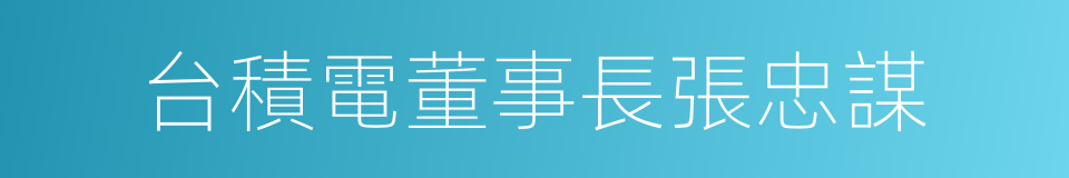 台積電董事長張忠謀的同義詞