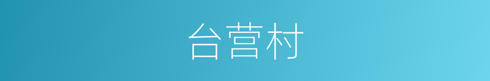 台营村的同义词