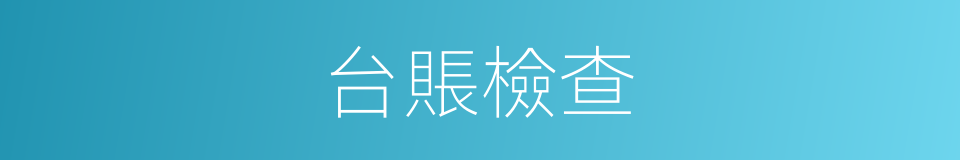 台賬檢查的同義詞