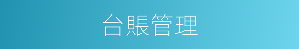 台賬管理的同義詞