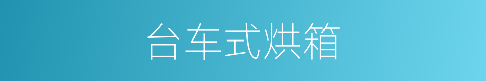 台车式烘箱的同义词