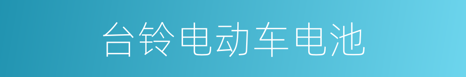 台铃电动车电池的同义词