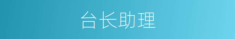 台长助理的同义词