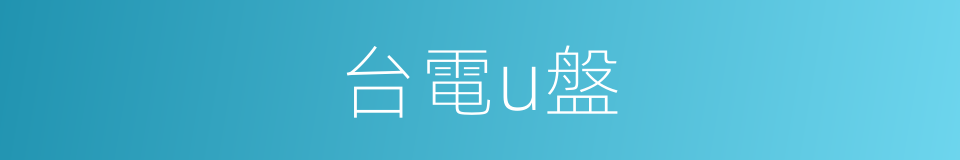 台電u盤的同義詞
