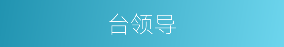 台领导的同义词