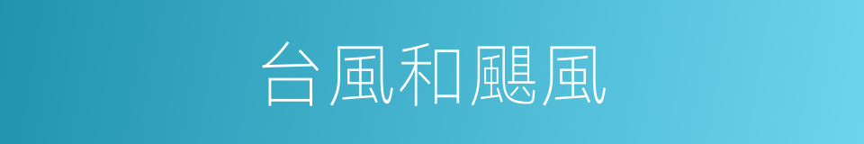 台風和颶風的同義詞