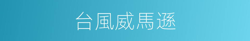 台風威馬遜的同義詞