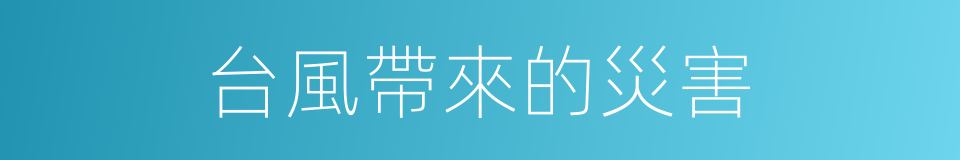 台風帶來的災害的同義詞