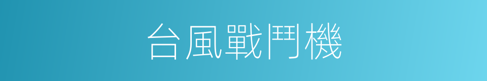 台風戰鬥機的同義詞