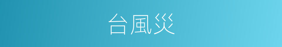 台風災的同義詞