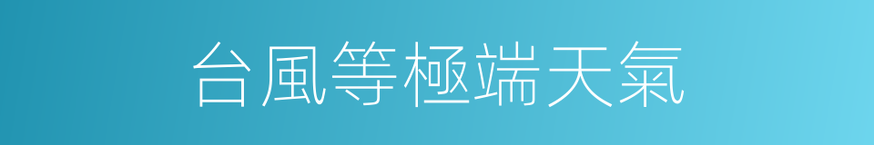 台風等極端天氣的同義詞