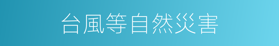 台風等自然災害的同義詞