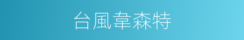 台風韋森特的同義詞