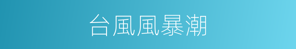 台風風暴潮的同義詞