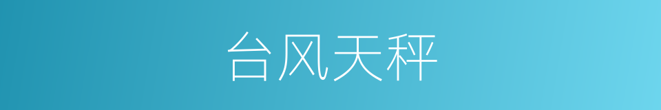 台风天秤的同义词
