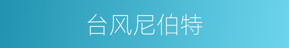 台风尼伯特的同义词