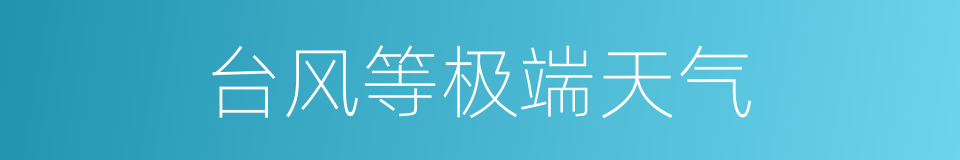 台风等极端天气的同义词