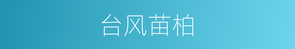 台风苗柏的同义词